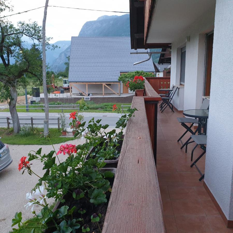 Apartmaji Pri Medvedu Bohinj Buitenkant foto